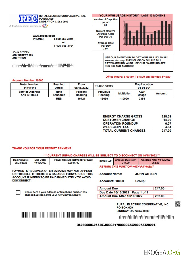 USA Rural Electric Cooperative utility bill template in Word and PDF format